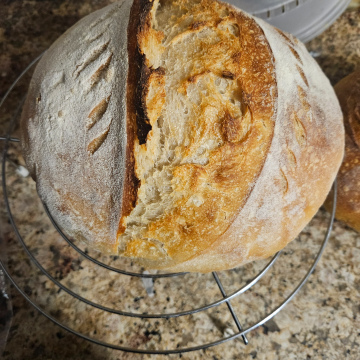 Oudtydse suurdeeg brood